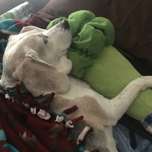 Meet your Posher, Mary